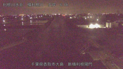 yoko2026042504_image