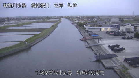 yoko2026042505_image