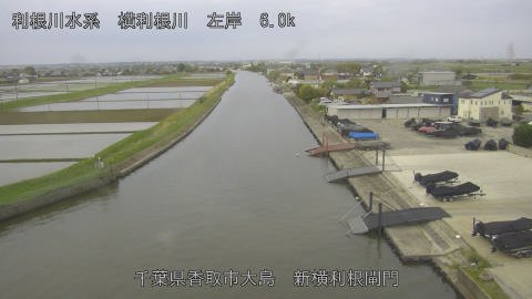 yoko2026042506_image