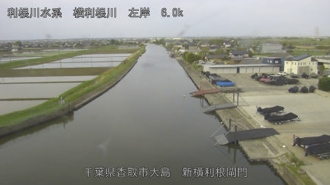 yoko2026042507_image