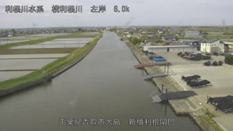 yoko2026042508_image