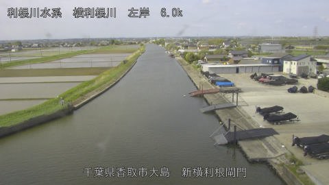 yoko2026042509_image