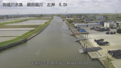 yoko2026042510_image