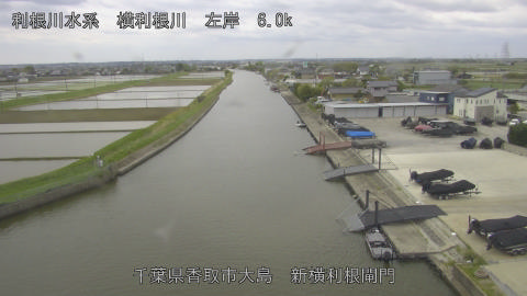 yoko2026042511_image