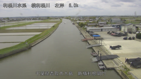 yoko2026042512_image