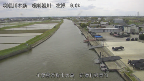 yoko2026042513_image