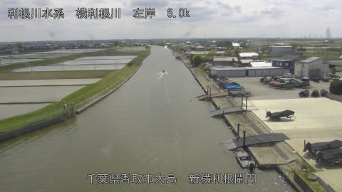 yoko2026042514_image