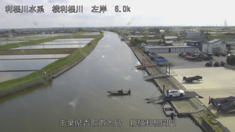 yoko2026042515_image