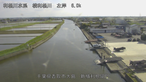 yoko2026042516_image