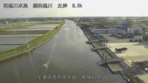 yoko2026042517_image