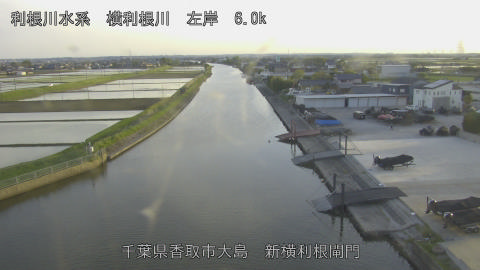 yoko2026042518_image