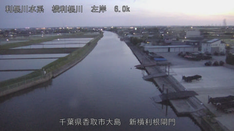 yoko2026042519_image