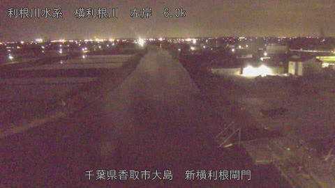 yoko2026042520_image