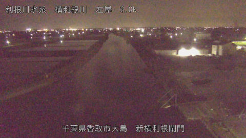 yoko2026042521_image