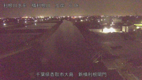 yoko2026042522_image