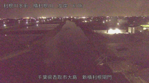 yoko2026042523_image