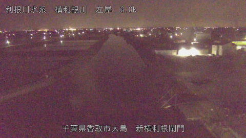 yoko2026042600_image