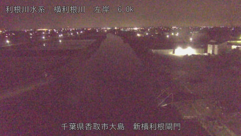 yoko2026042601_image