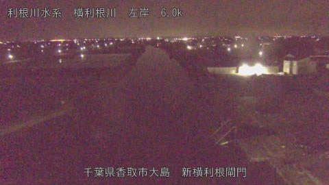 yoko2026042602_image