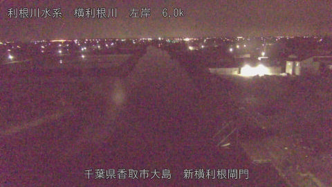 yoko2026042603_image