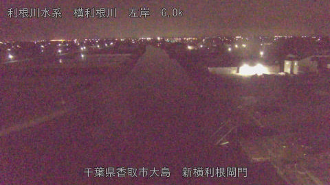 yoko2026042604_image