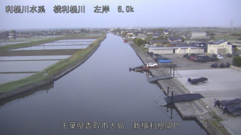 yoko2026042605_image