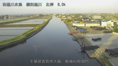 yoko2026042606_image