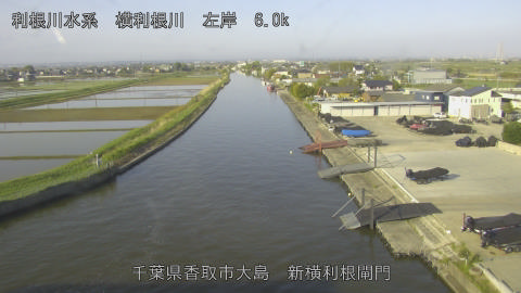 yoko2026042607_image