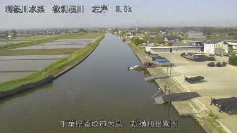 yoko2026042608_image