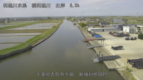 yoko2026042609_image