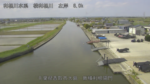 yoko2026042610_image