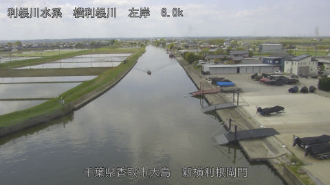 yoko2026042611_image