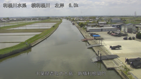 yoko2026042612_image