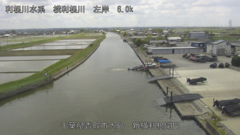 yoko2026042613_image