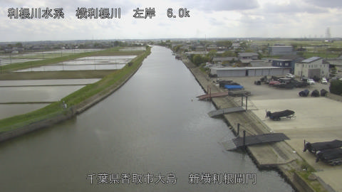 yoko2026042614_image