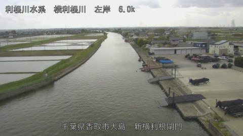 yoko2026042615_image