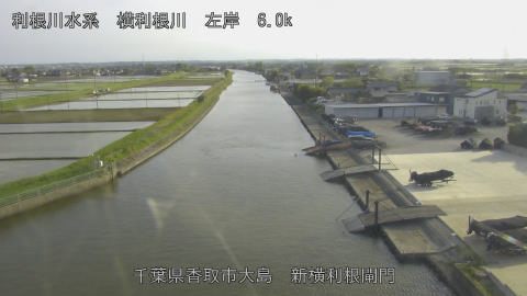 yoko2026042617_image