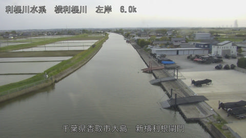 yoko2026042618_image