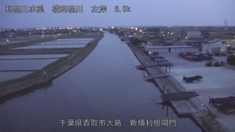 yoko2026042619_image