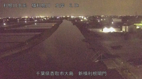 yoko2026042620_image