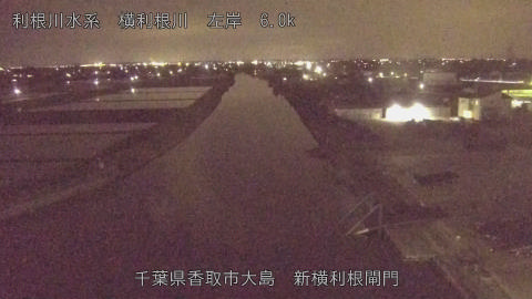 yoko2026042621_image