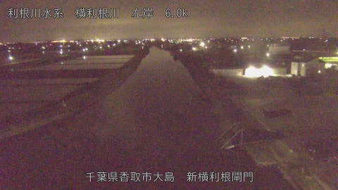 yoko2026042622_image