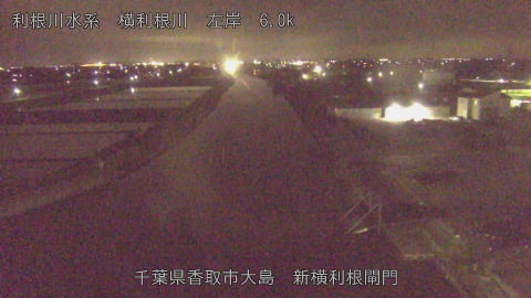 yoko2026042623_image