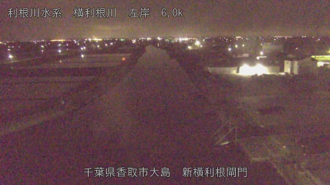 yoko2026042700_image