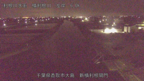 yoko2026042701_image