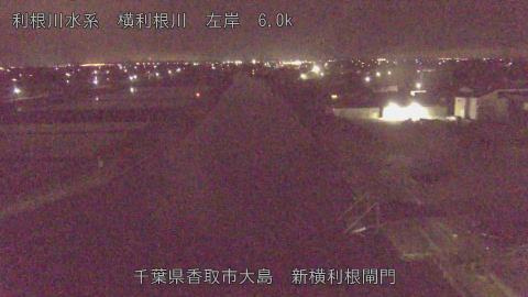 yoko2026042702_image