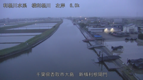 yoko2026042705_image