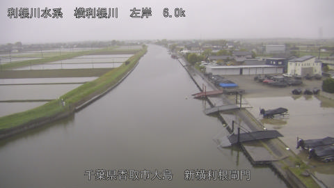 yoko2026042706_image