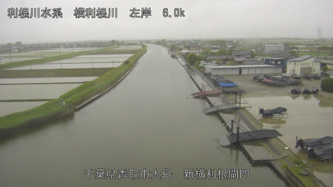 yoko2026042707_image