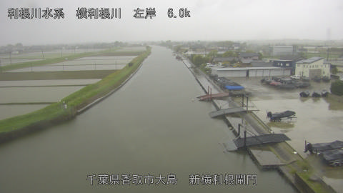 yoko2026042708_image